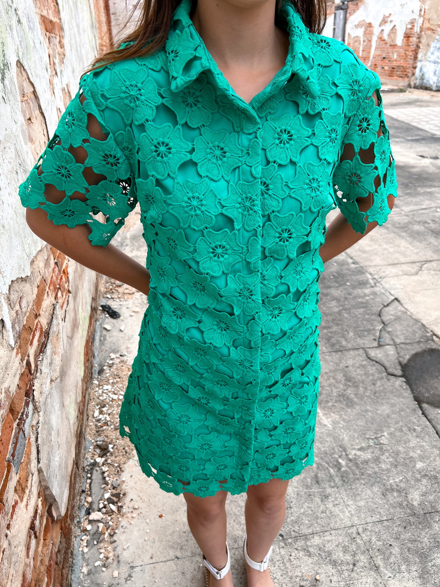 Elyse Floral Lace Button Down Collared A-Line Dress-Apparel & Accessories-Umgee-BIN B5, R0971-The Twisted Chandelier