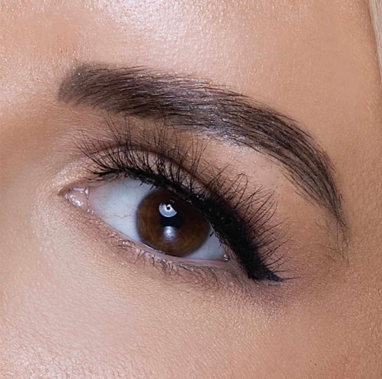 Reign Lashes | Soho | Glue on 3D Luxury Mink Lashes-Reign Lashes-Reign-The Twisted Chandelier