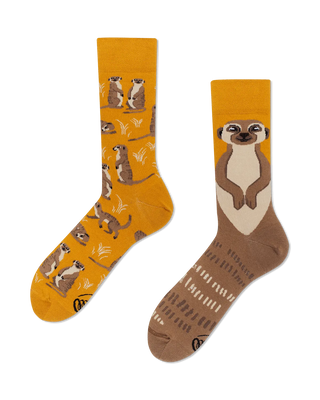The Meerkat Socks