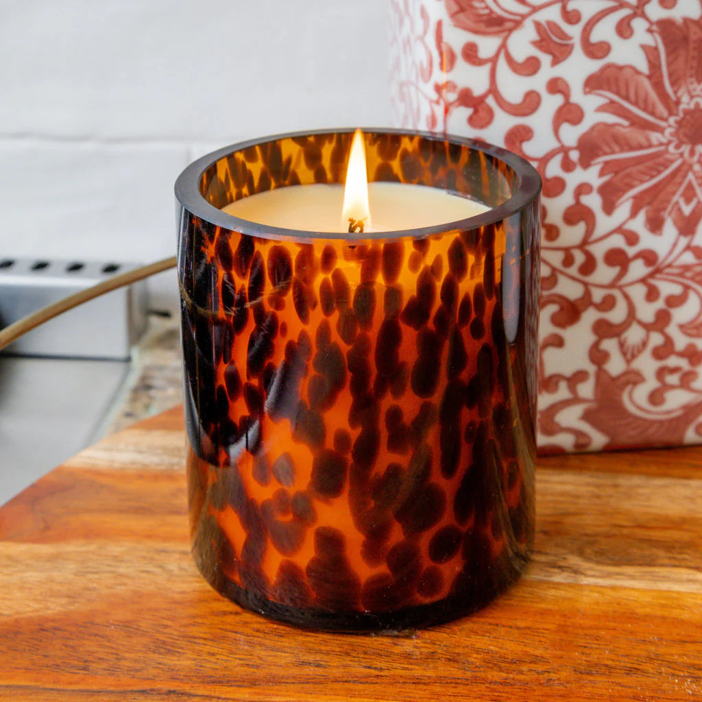 Sweet Grace Collection Candle #064 | Tortoise Design Candle | Bridgewater Candle Company-Candle-Bridgewater-Bridgewater,FD 11/1/25-The Twisted Chandelier
